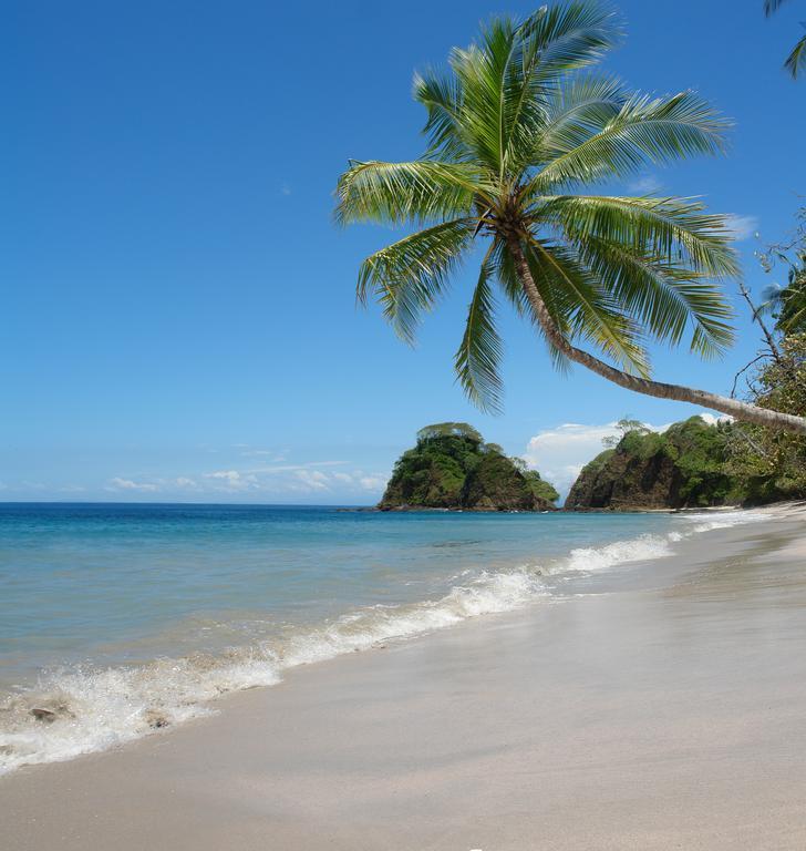 Hotel Punta Leona Jacó Kültér fotó