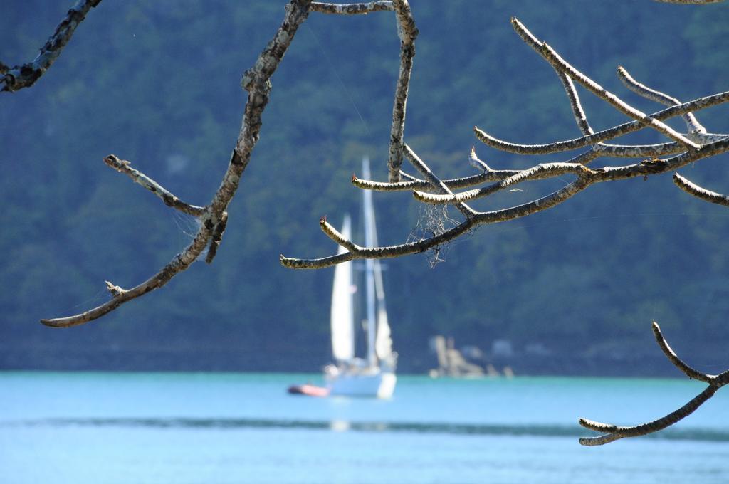 Hotel Punta Leona Jacó Kültér fotó