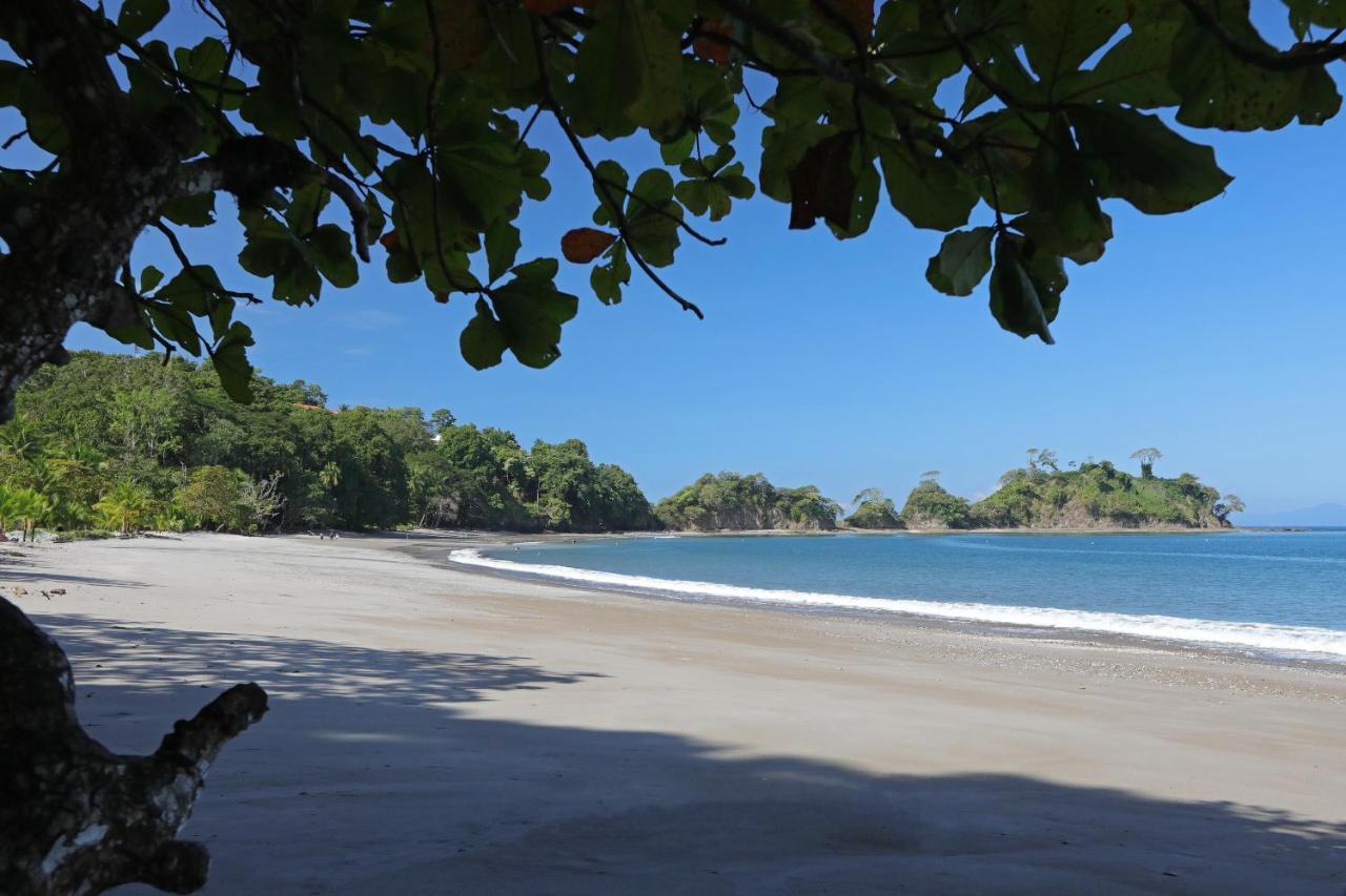 Hotel Punta Leona Jacó Kültér fotó